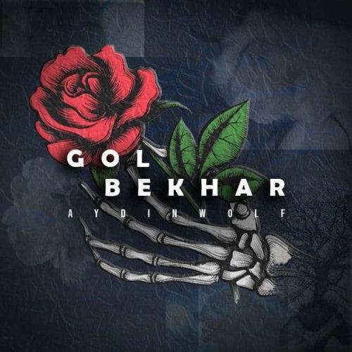 AydinWolf – Gol Bekhar
